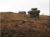 SE2165 : Brimham Rocks (east side) by Philip Barker