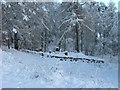 NH2602 : Kilfinnan graveyard in the snow by Dave Fergusson
