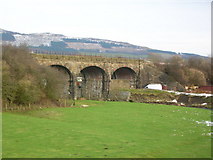 SD9153 : Railway viaduct over the River Aire west of Gargarve by John H Darch