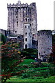 W6075 : Blarney Castle grounds - Two towers and castle by Joseph Mischyshyn