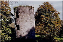 W6075 : Blarney Castle grounds - Northeast tower by Joseph Mischyshyn
