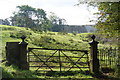 A gate onto the hillside