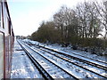 Railway Line at Lenham