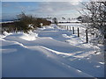 Access lane to Beacon Ring mast