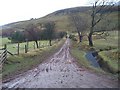 Track leading to Twyn Dylluan-ddu