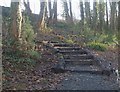 Grisiau yng Nghoed y Dingle / Steps in Dingle Woods