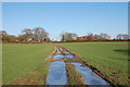 Footpath with Frozen Puddles