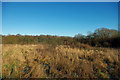 Derelict field, Ifield