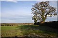 Field & Hedgerow North of Lillington