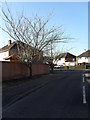 Approaching the junction of Saxon Way and Meadow Way