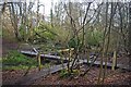 Norsey Footbridge