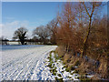 Field edge footpath on a snowy afternoon