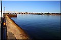 The River Itchen from Pacific Close