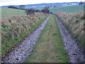 Farm track near Ugford Red