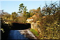 Bridge at Froyle Mill, Hampshire