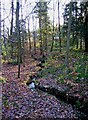 Stream by Wyre Forest public car park