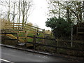 Footpath off the B4020