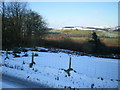 Over Coed Cynewill towards Pen-y-parc