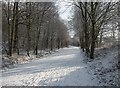 Snowy day in January 2010