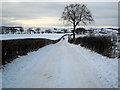 Jackton Road Under Snow