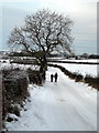 Jackton Road Under Snow