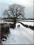 NS6051 : Jackton Road Under Snow by Iain Thompson
