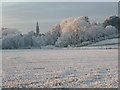 NH8855 : Nairn skyline in winter by nairnbairn