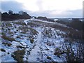 Footpath across the Darland Banks, Winter 2009