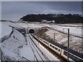 TQ7560 : A Eurostar train heads towards the Blue Bell Hill Tunnel by David Anstiss