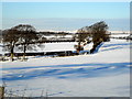 Snow Covered Craigend Road