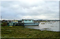 Houseboats at Shoreham Beach, West Sussex