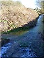 Stream near Bradford Farm