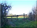 Horse jump near Bradford Farm