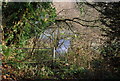 Gate by the road to Lower Roadwater