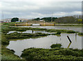 Tidal waters at Shoreham-by-Sea, West Sussex