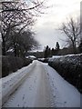 Buccleuch Estate Road at Carterhaugh Toll