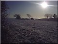 Sardis Snow and Sea