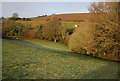 Field by the path to Golsoncott