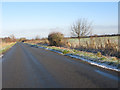 The road between Botswicky Copse and Lower Farm