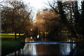 River Wey, Near Mill Court, Hampshire