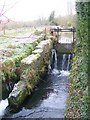 Mill lade, River Bourne