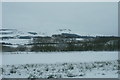 View across to the eastern Sidlaws from Auchterhouse