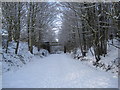 Consett to Sunderland Railway Path