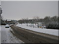 Looking up Thames Drive