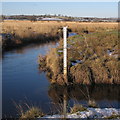 SN6863 : Water level gauge in the Afon Teifi by Rudi Winter