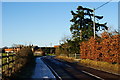 Looking Towards Isington Road, Hampshire