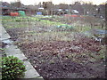 Earlsdon allotment plot in winter.