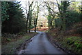 Stouts Way Lane descends through Slowley Wood