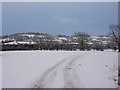 Track in the snow