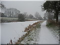 Mid Devon : The Grand Western Canal